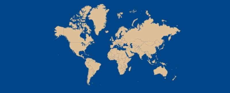 Connections with brokers all over the world